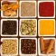 indian_spices_cropped